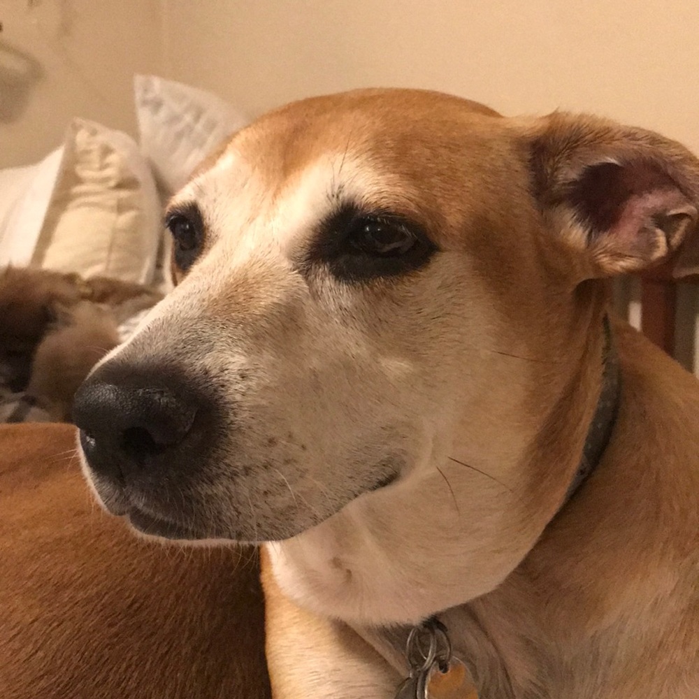 Meet your Posher, Chelsea